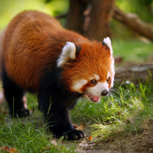 George Turner Photo 5 George Turner Photo 5