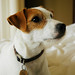 Harry Parsons Photo 38