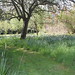 Margaret Hall Photo 25
