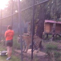 Traci Robbins Photo 9