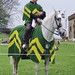 Stacy Knight Photo 8