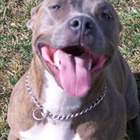 Melissa Cronin Photo 22