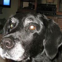 Johnny Barker Photo 20