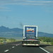 Patti Shultz Photo 17