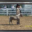 Marcia Kessler Photo 16