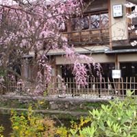 Brian Ruppert Photo 15