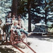 Connie Bush Photo 28
