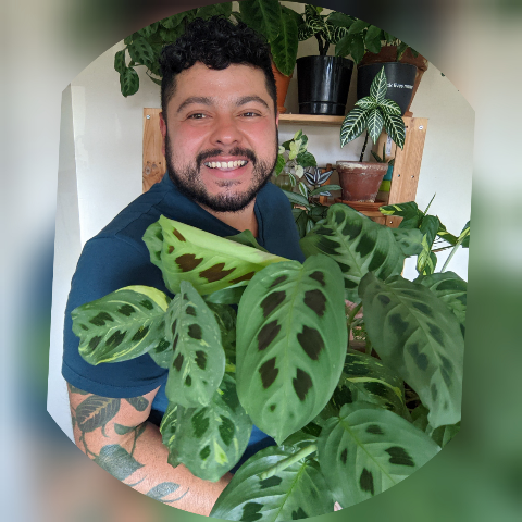 Edgar Cardona Photo 10