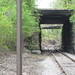 Wm Groves Photo 9