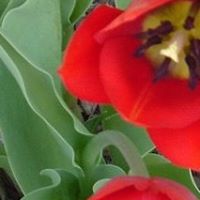 Barbara Colon Photo 6