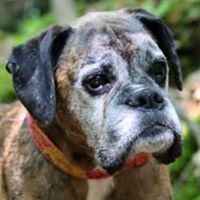 Gayle Devine Photo 2