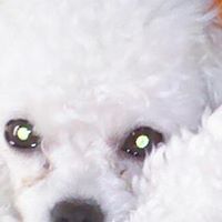 Martha Everett Photo 10