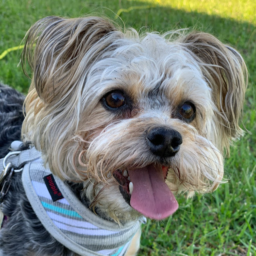 Cindy Mullins Photo 17