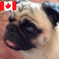 Susan Toomey Photo 19