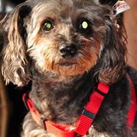 Ruth Helton Photo 14