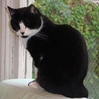 Adrianne Martin Photo 18