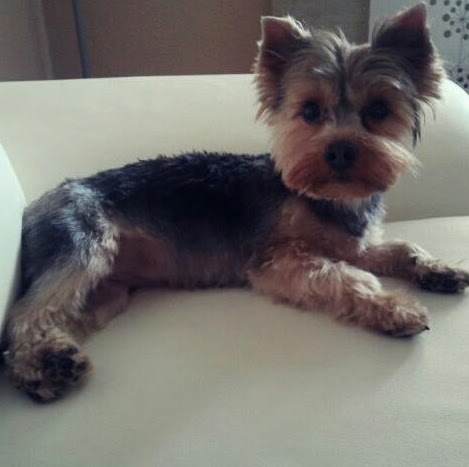 Jennifer Stoltman Photo 3