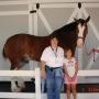 Deborah Wolfe Photo 42