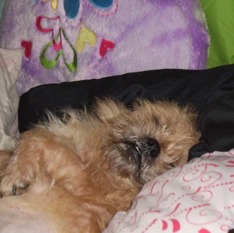 Shannon Huff Photo 13