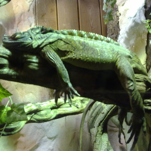 Cheryl Mccauley Photo 13