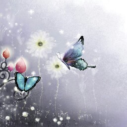 Paula Lawrence Photo 23