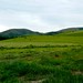 Geraldine Land Photo 9