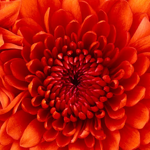 Leslie Griffith Photo 19