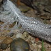 David Feder Photo 24