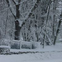 Neil Reilly Photo 27