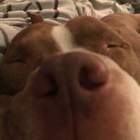 Susan Edmondson Photo 28