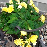 Connie Streeter Photo 7