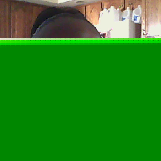 Lisa Washington Photo 29