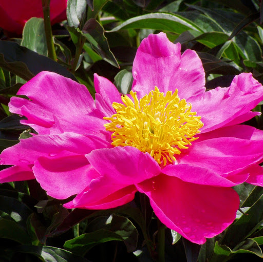 Kristine Wells Photo 22