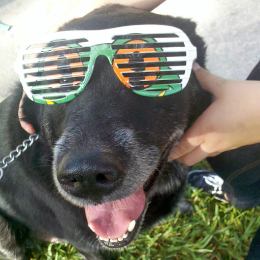 Brian Stephens Photo 47