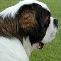 Diane Hughes Photo 25