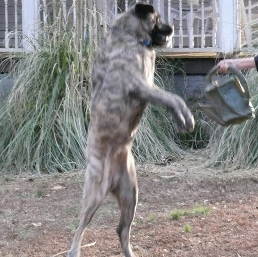 Donald Kerr Photo 29