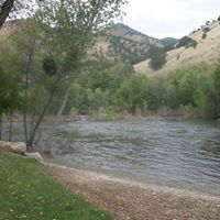 Travis Newsom Photo 7