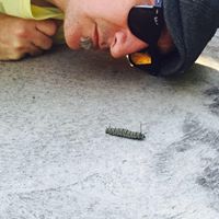 Daniel Crandall Photo 34