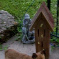 Gayle Newman Photo 14