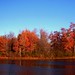 Joseph Spicer Photo 12