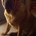 Dawn Smith Photo 26