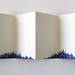 Kevin Koo Photo 4