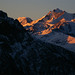 Dawn Wallis Photo 24