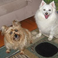 Ruth Dupuis Photo 11