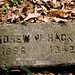 Andrew Stepp Photo 27