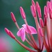 Jeannie Bloom Photo 2