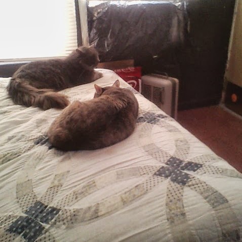 Mary Dailey Photo 40