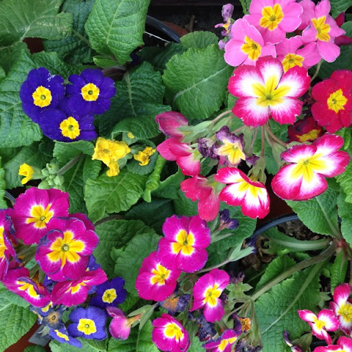 Martha Latham Photo 5