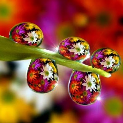 Jill Rice Photo 18