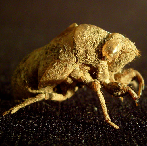 Steven Morin Photo 31